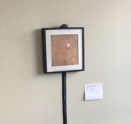 Syd X. Rey - Art & Machines