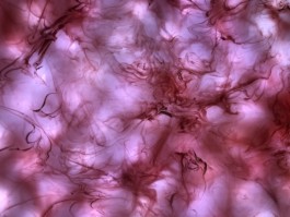 Syd X. Rey - Art & Machines