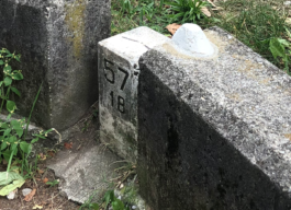 Syd X. Rey - Art & Machines