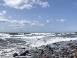 Syd X. Rey - Art & Machines